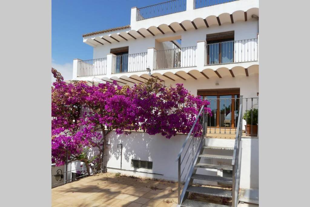 Ca Buganvilla. El Corazon De La Huerta Valenciana Meliana