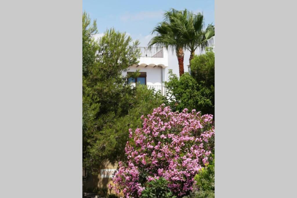 Ca Buganvilla. El Corazon De La Huerta Valenciana Holiday home *