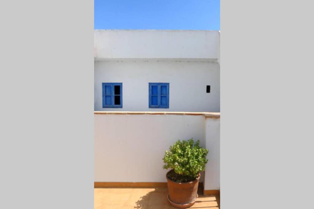 Holiday home Ca Buganvilla. El Corazon De La Huerta Valenciana